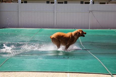 Maggie's Mischievous Monday