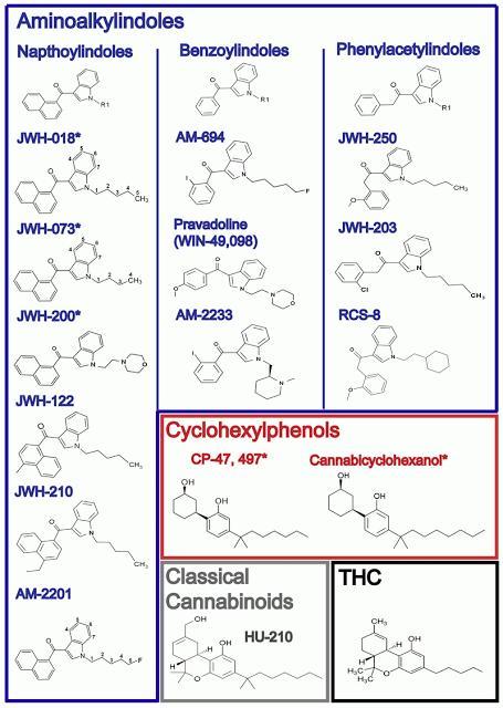 Spiced: Synthetic Cannabis Keeps Getting Stronger