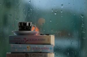 rainydaybook