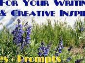 Your Writing Creative Inspiration: Quote Question Prompt More Creativity