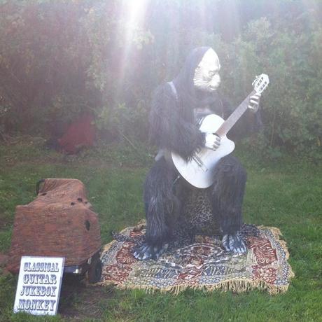 Classical Guitar Playing Jukebox Monkey Golden Gate Park HSB