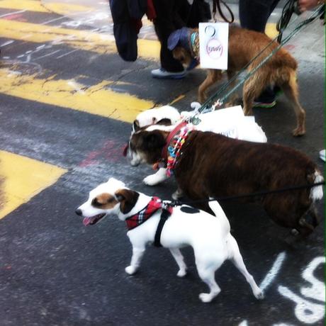 Tella and friends march for the elephants