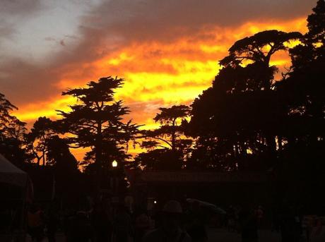 sky on fire golden gate park hardly strictly bluegrass festival