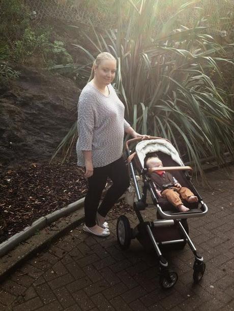 Plymouth Aquarium Review