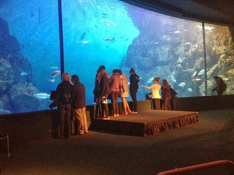 Plymouth Aquarium Review