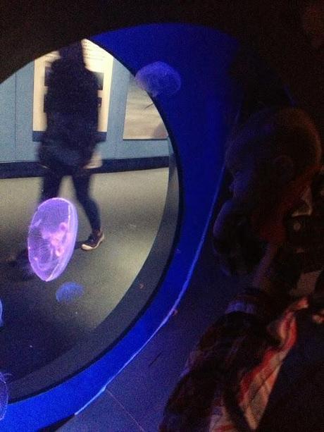 Plymouth Aquarium Review