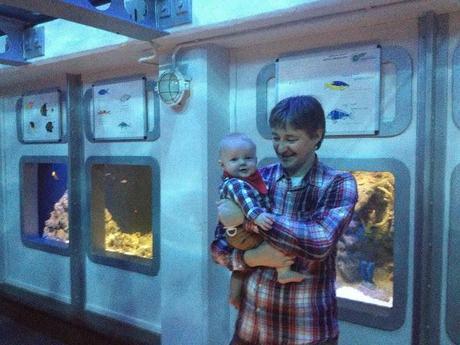 Plymouth Aquarium Review