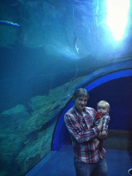 Plymouth Aquarium Review