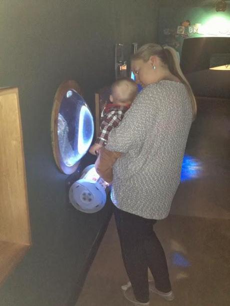 Plymouth Aquarium Review