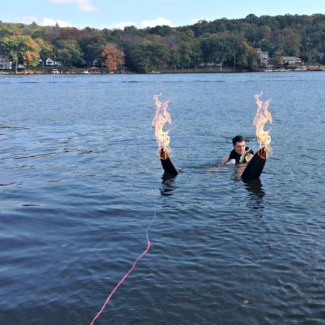 Wordless Wednesday toby