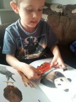 20130923_172626_resize_20130923_173833 Star Paws Sticker books – Review and Competition