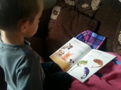 20130923_171435_resize_20130923_173929 Star Paws Sticker books – Review and Competition