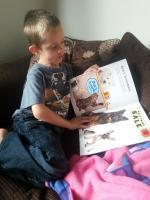 20130923_171558_resize_20130923_173925 Star Paws Sticker books – Review and Competition