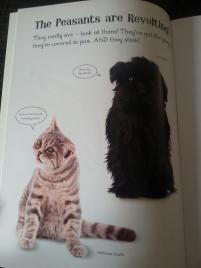 20130923_171218_resize_20130923_174000 Star Paws Sticker books – Review and Competition