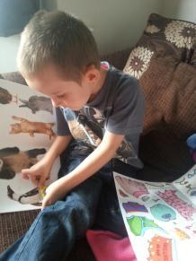 20130923_172352_resize_20130923_173856 Star Paws Sticker books – Review and Competition