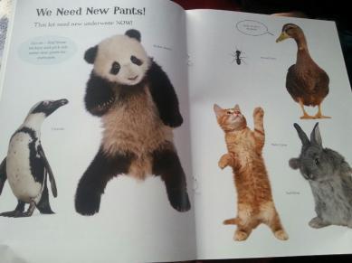 20130923_172242_resize_20130923_173859 Star Paws Sticker books – Review and Competition