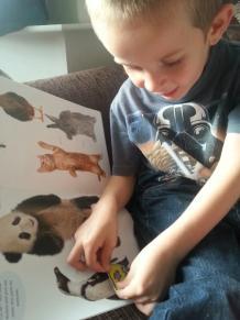 20130923_172355_resize_20130923_173855 Star Paws Sticker books – Review and Competition