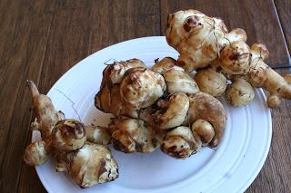 Roasted Jerusalem Artichoke or Sunchoke (Dairy, Gluten and Grain Free)