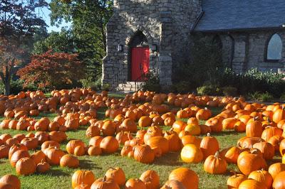 A Plenitude of Pumpkins