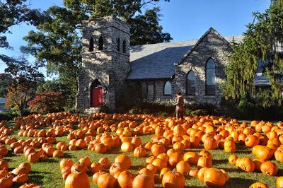 A Plenitude of Pumpkins