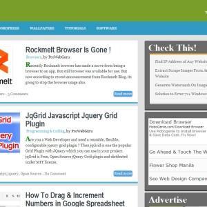 Change in WordPress Theme 2013