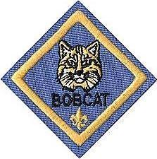 Cub Scout Tiger Uniform