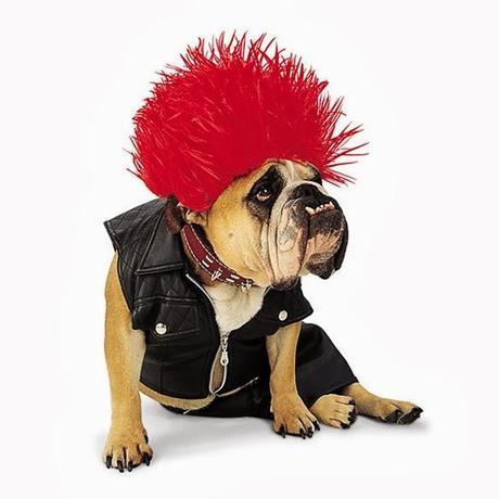 The CUTEST Halloween COSTUMES for DOGS 2013!
