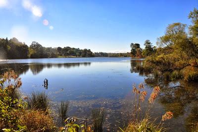 Beaver Lake Nature Sanctuary