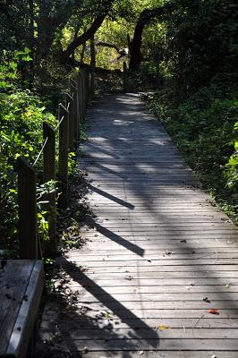 Beaver Lake Nature Sanctuary