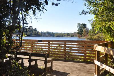 Beaver Lake Nature Sanctuary