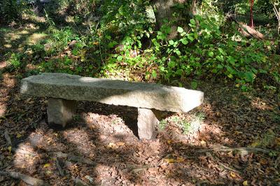 Beaver Lake Nature Sanctuary