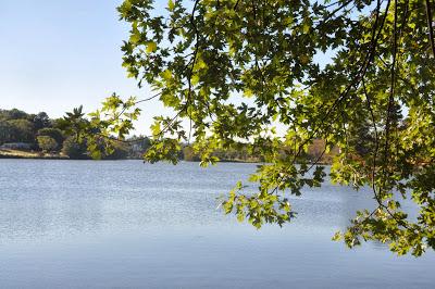 Beaver Lake Nature Sanctuary