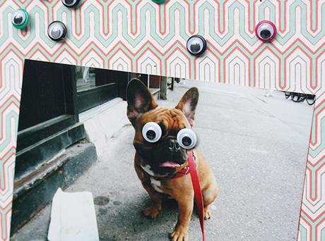 googly eye push pins