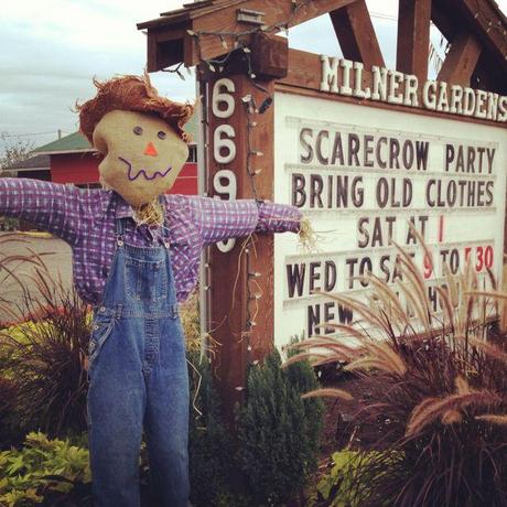 Scarecrow party