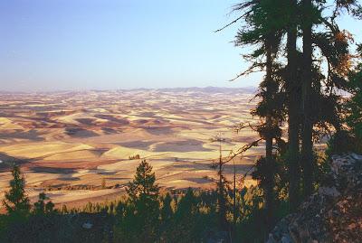 How the Palouse was Lost