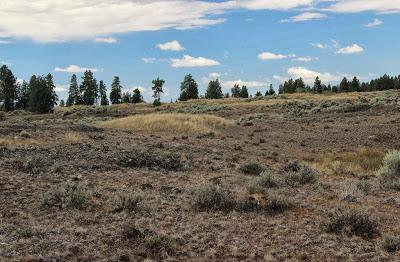 How the Palouse was Lost