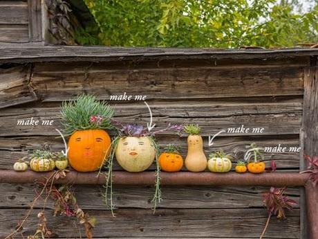 Make a pumpkin family