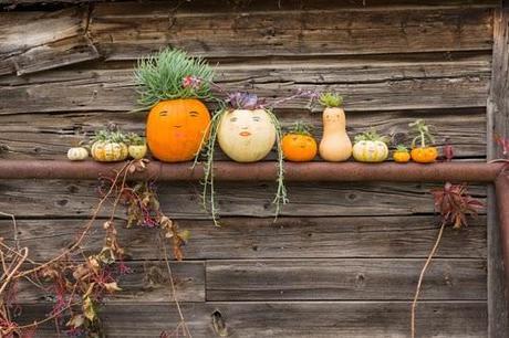 Make a pumpkin family