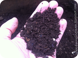 Composting: Making Great Dirt