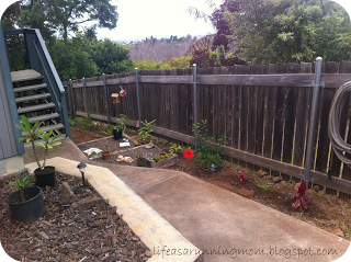 Composting: Making Great Dirt