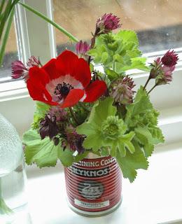 Red anemone de caen with alchemilla mollis and astrantia