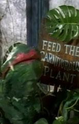 The Movies Top 10 Most Scariest Plants