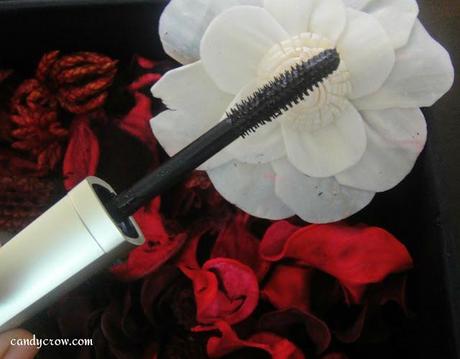 LA Splash Glitter Mascara review