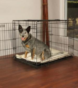 dog crate