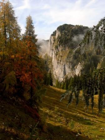 A picturesque clearing in Triglav National Park,Slovenia.