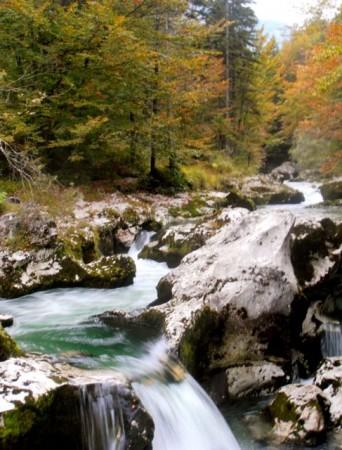 Triglav National Park