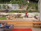 Modern Homes Texas