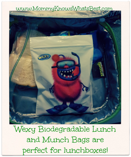 Wexy Biodegradable Lunch and Snack Bags Review