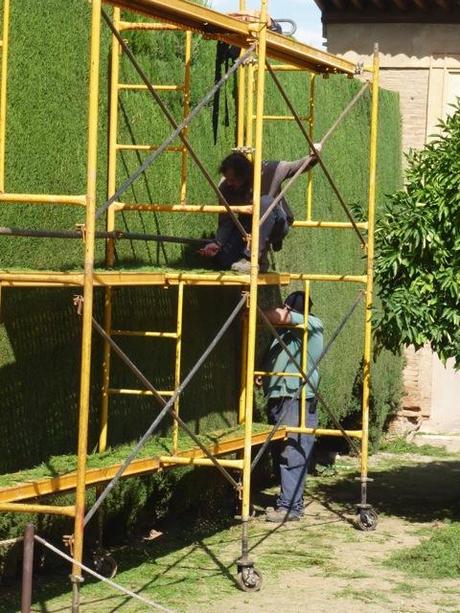 hedge trimming at the Alhambra