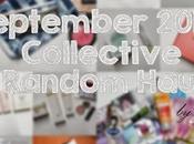 September 2013 Collective Random Haul